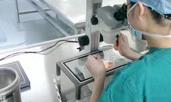 不孕不育中医苏州（不孕不育看中医好还是西医好）