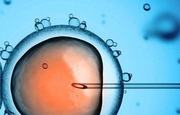 在白杨市做试管婴儿长方案周期需要多久？超长方案促排流程是怎么样的？