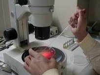 选择哈萨克斯坦试管婴儿的费用分析：从初诊到成功妊娠的全程预算