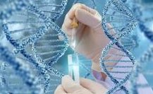 详细解读浙江省做长方案试管婴儿费用，长方案和短方案成功率有差别吗？