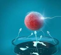 赣南医学院第一附属医院做三代试管成功率如何？一文读懂需要花多少钱