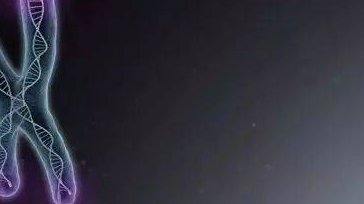 重度宫腔粘连在沧州市做试管婴儿靠谱吗，重度宫腔粘连试管婴儿成功率多少！