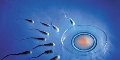 黄冈市做试管婴儿怎么样？推荐这几家试管医院